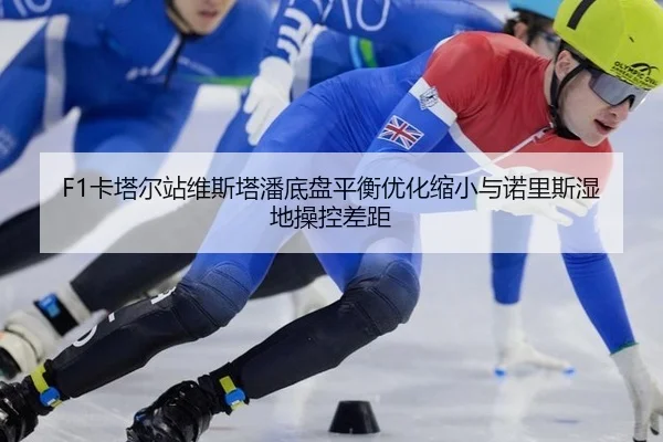 ka-ta-er-zhan-wei-si-ta-pan-di-pan-ping-heng-you-hua-suo-xiao-yu-nuo-li-si-shi-di-cao-kong-cha-ju-2-922.jpg